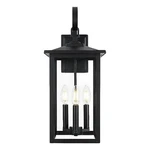 Elegant Lighting Carisle 7" Outdoor Pendant Black. Fixed Price $130.00.