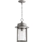 Quorum Charter 10" Pendant Light In Graphite. Fixed Price $180.00.