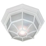 Used Acclaim Lighting 2002TW Two Outdoor Flush Mount - 11 Inches Wide By 5. Fixed Price $57.60.