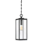 Westover 1-LIGHT Outdoor Hanging Lantern Earth Black. Fixed Price $179.99.
