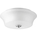Close-to-ceiling Light 2 Coastal Style 14 Inches Wide By 6. Fixed Price $88.95.