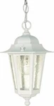 Nuvo 60/991 Hanging Lantern With Clear Seeded Glass, White. Fixed Price $63.99.