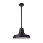 Craftmade Briscoe Light 15" Outdoor Pendant, Midnight/midnight ZA5701-MN. Fixed Price $174.99.