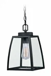 Vaxcel One Light Outdoor Pendant T0211. Fixed Price $112.08.