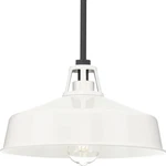 Progress Lighting P550116-030 Cedar Springs Outdoor, Medium, White. Fixed Price $99.54.