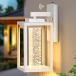 Vianis Porch Lights Outdoor Dusk To Dawn, Outside Fixtures For House. Fixed Price $49.99.