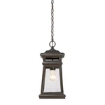 Savoy House Taylor Light Outdoor Hanging Lantern, Bronze/gold 5-243-213. Fixed Price $89.99.
