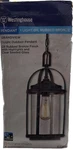 Westinghouse Lighting 6339400 Grandview One-light. Fixed Price $55.99.