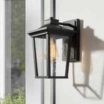 Lnc Transitional 1-LIGHT 11 In.black Wall Lantern Sconce With Seeded Glass Shade. Fixed Price $19.99.
